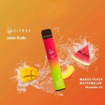 ELFBAR 2600 Puffs 20MG Nicotine Disposable Vape in Dubai Mango Peach Watermelon