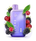 ELFBAR Raya D1 13000 Puffs 50mg Nicotine Disposable Vape Blackberry Cranberry