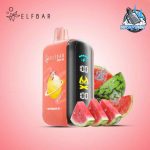 ELFBAR Raya D3 25000 Puffs 50MG Disposable Vape in Dubai Watermelon Ice
