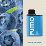 FUMMO-King-Blueberry