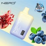 NERD Fire 8000 Puffs 20MG Nicotine Disposable Vape in Dubai Blueberry Pomegranate