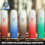 RIPE VAPES Palm Disposable 3000 Puffs 20MG Rechargeable Vape in Dubai, UAE