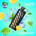 VOZOL Gear Shisha 25000 puffs Dual Mode 5MG Nicotine In UAE Lemon Mint
