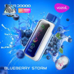 VOZOL Star 20000 Puffs 20MG & 50mg Disposable Vape in Dubai BLUEBERRY STORM