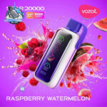 VOZOL Star 20000 Puffs 20MG & 50mg Disposable Vape in Dubai RASPBERRY WATERMELON