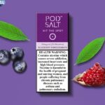 pod salt core salt nicotine 20mg 30ml e juice in dubai podsaltuaeblueberypom02
